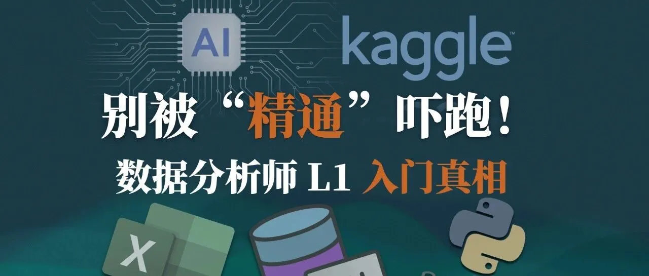 数据分析师 L1：入门筑基